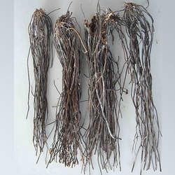 ���`�ɵĹ�Ч�c����