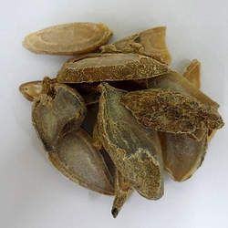 ����Ĺ�Ч�c����