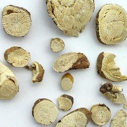 �����Ĺ�Ч�c����