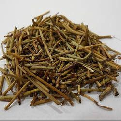 麻黃的功效與作用