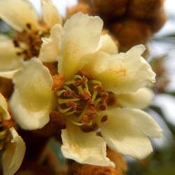 ���˻��Ĺ�Ч�c����