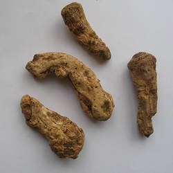 獨(dú)活的功效與作用