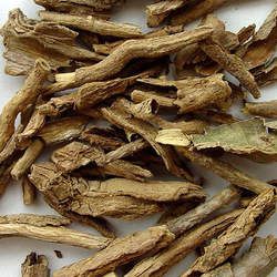 地骨皮的功效與作用