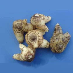 ��ܸ�Ĺ�Ч�c����