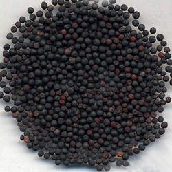 �������еĹ�Ч�c����