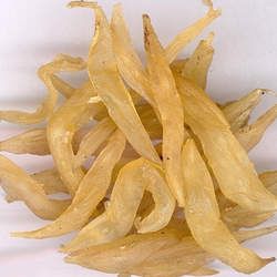 �춬�Ĺ�Ч�c����