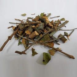 桑寄生的功效與作用