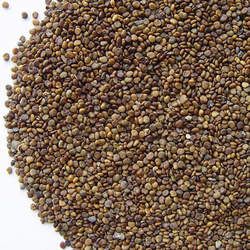 ɳԷ�ӵĹ�Ч�c����