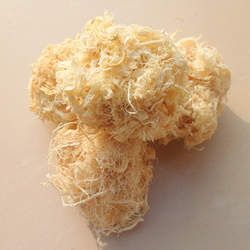 竹茹的功效與作用