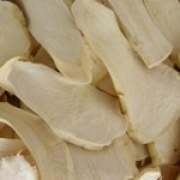 �����Ĺ�Ч�c����