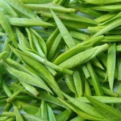 ���~�Ĺ�Ч�c����