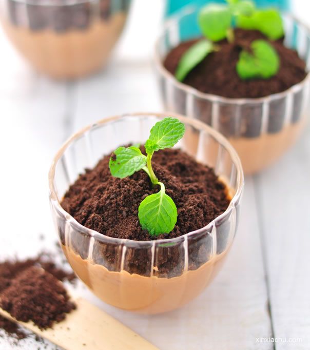 �����ɿ���Ľ˹