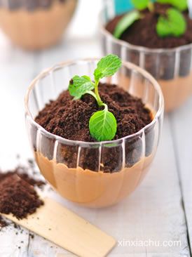 �����ɿ���Ľ˹������