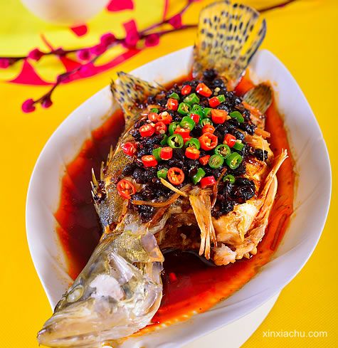 ���������~(y��)