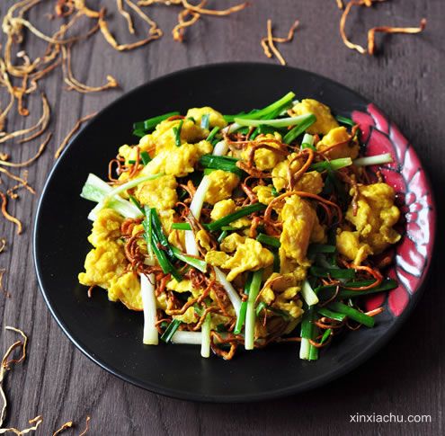 ���[�x(ch��ng)�ݳ��u��������