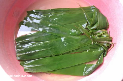 �����r����