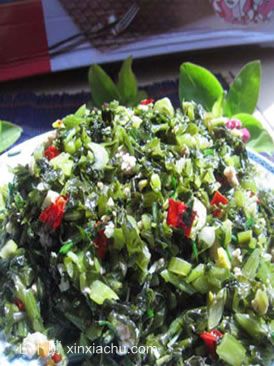 ��ĩѩ��ޮ������