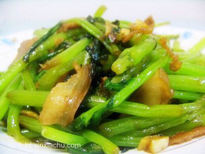 ��������Ƭ