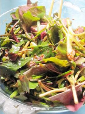 �ҳ��˛����۶���������