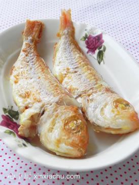 �ɼ�t���~������