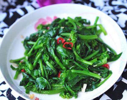 �����Ͳ���