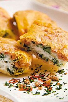 ������˵�����