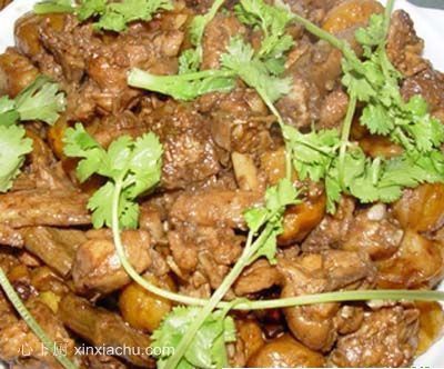 �����S�F�u