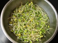 ˮ����Ƭ�ļҳ�������2���DƬ���E m.xalove.com.cn