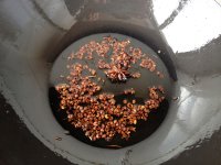 ˮ����Ƭ�ļҳ�������13���DƬ���E m.xalove.com.cn