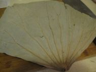 ���~�}�h�u�ļҳ�������3���DƬ���E m.xalove.com.cn