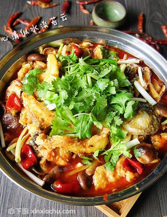 �ؑc̫���~������