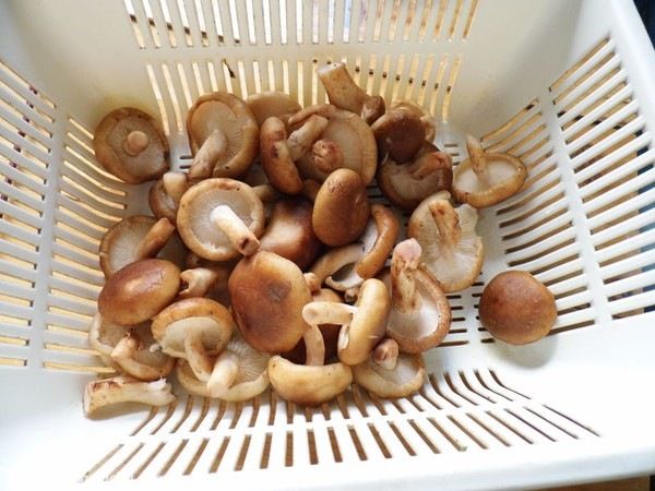 重慶太安魚的家常做法第8步圖片步驟 m.xalove.com.cn