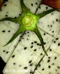 家庭版小果盤的家常做法第13步圖片步驟 m.xalove.com.cn