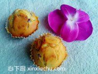 �t��Ŵ��С����ļҳ�������9���DƬ���E m.xalove.com.cn