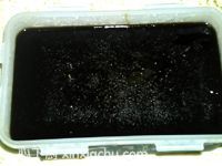 ���̺ڛ��۵ļҳ�������9���DƬ���E m.xalove.com.cn