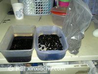 ������ļҳ�������3���DƬ���E m.xalove.com.cn