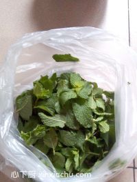 ���ʱ��ɲ�ļҳ�������1���DƬ���E m.xalove.com.cn