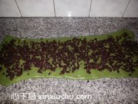 抹茶蜜豆吐司的家常做法第8步圖片步驟 m.xalove.com.cn