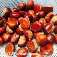 ��ܛ�ǳ������ļҳ�������1���DƬ���E m.xalove.com.cn