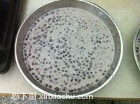 �Vʽ����ļҳ�������11���DƬ���E m.xalove.com.cn