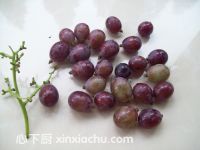 自制美酒的家常做法第3步圖片步驟 m.xalove.com.cn