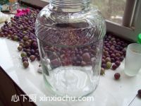 自制美酒的家常做法第7步圖片步驟 m.xalove.com.cn