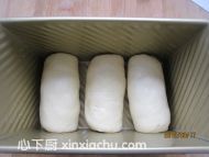 ��������˾�ļҳ�������7���DƬ���E m.xalove.com.cn