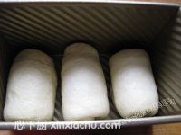 ���Ͱ���˾�ļҳ�������8���DƬ���E m.xalove.com.cn