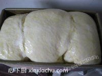 ���Ͱ���˾�ļҳ�������9���DƬ���E m.xalove.com.cn