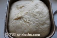 蜂蜜小面包的家常做法第3步圖片步驟 m.xalove.com.cn