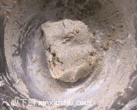 ��֥�����ɵļҳ�������11���DƬ���E m.xalove.com.cn