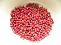 �t��޲����ļҳ�������2���DƬ���E m.xalove.com.cn