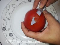 �ǰ����t����õ�廨�ļҳ�������1���DƬ���E m.xalove.com.cn