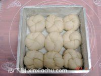 ��(j��ng)��������ļҳ�������10���DƬ���E m.xalove.com.cn